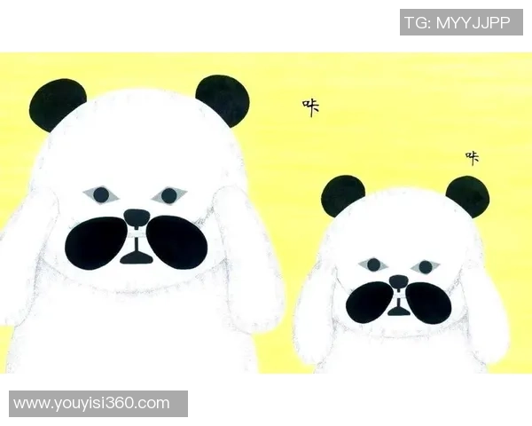 足球卡片收藏盛宴探索全球球星传奇魅力与收藏价值